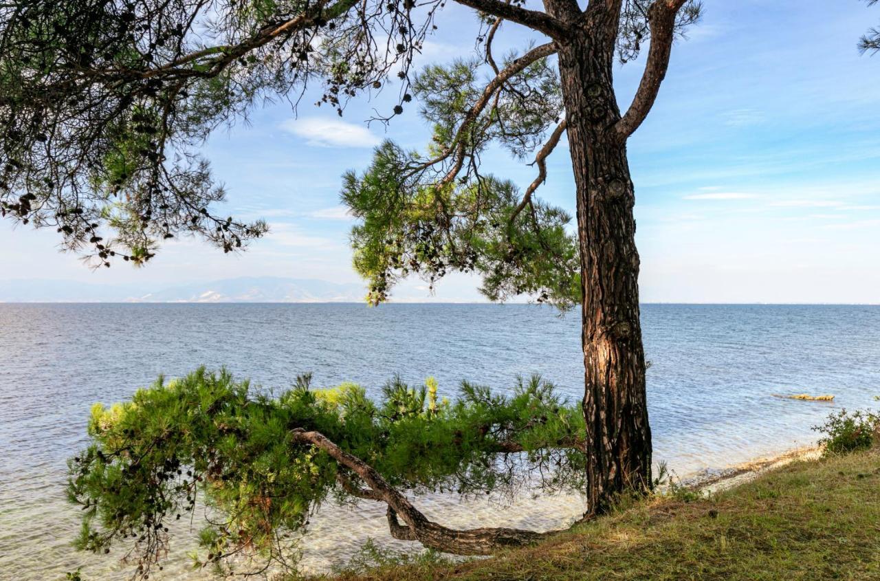 Pinereef Blue Villa Скала-Рахониу Екстериор снимка